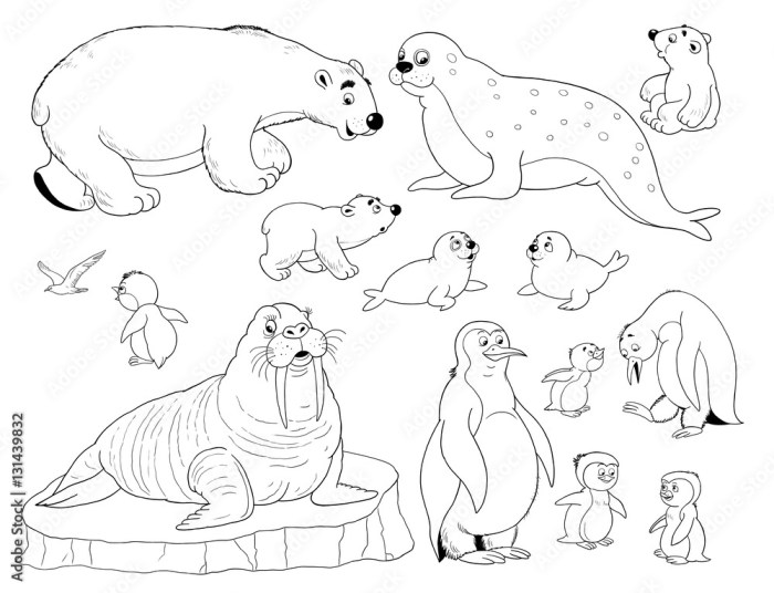 Arctic animal coloring sheet