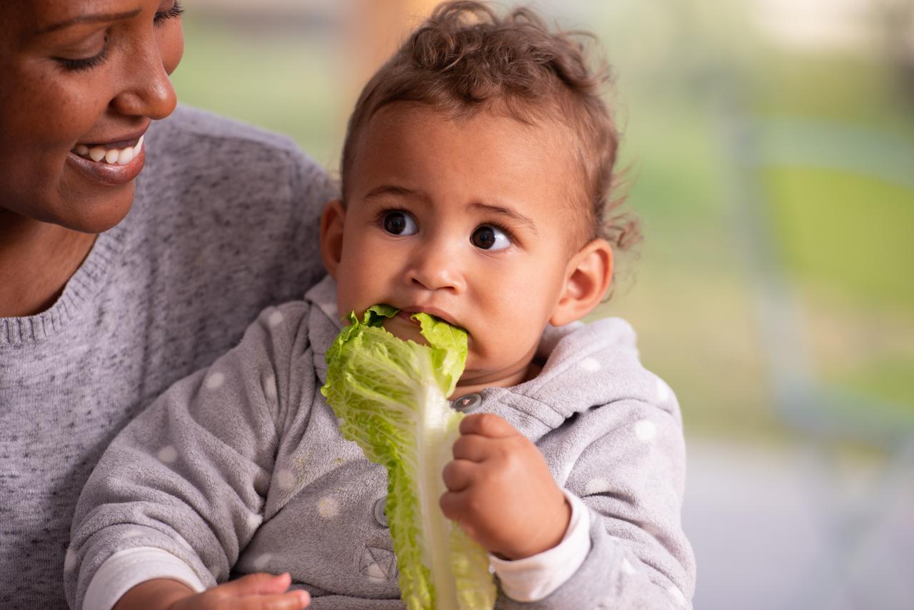 Rein vegane ernährung bei kindern verboten