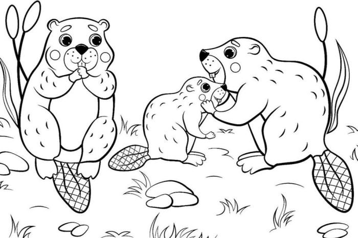 Free coloring pages animals