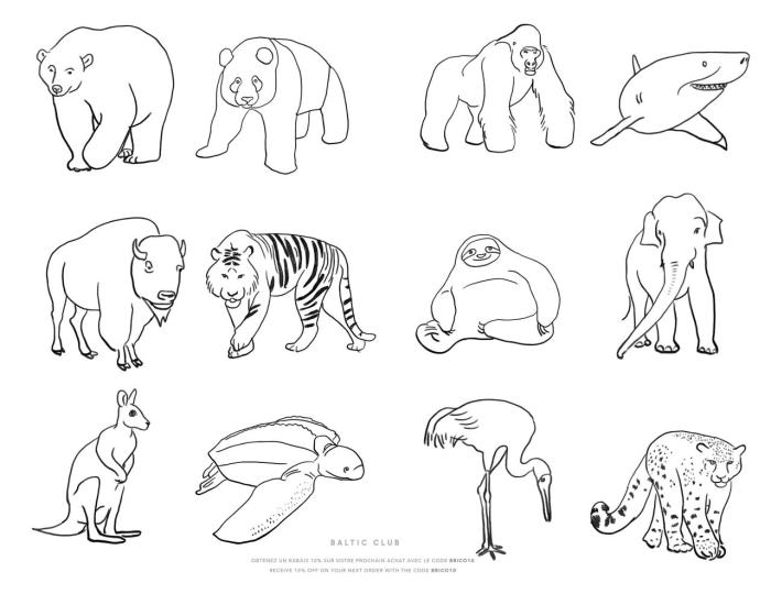 Real animal coloring pages