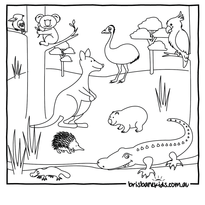 Coloring pages of australian animals