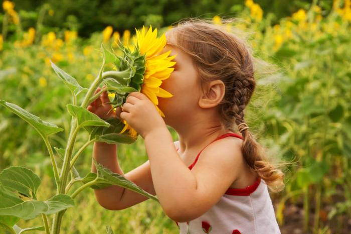 Kinder bezug natur ernährung