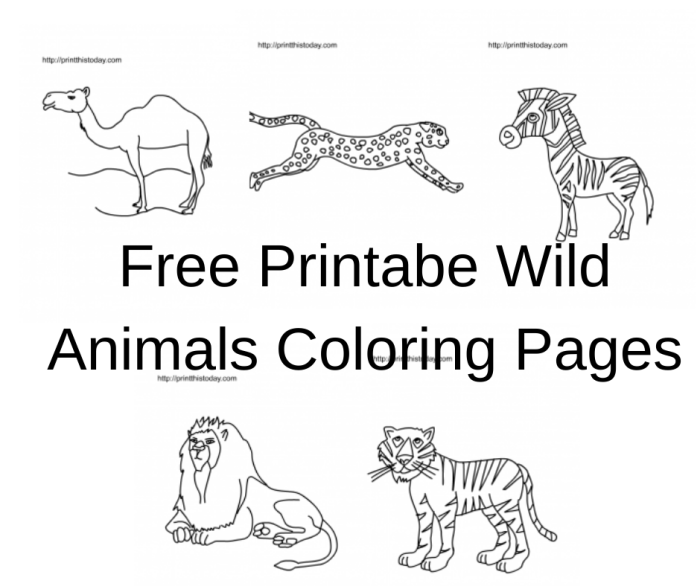 Wild animals coloring pages printable