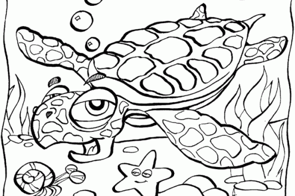 Ocean animals coloring pictures