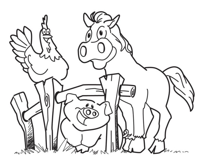 Farm animal coloring sheets