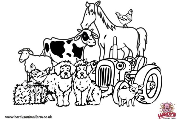 Animals on the farm coloring pages