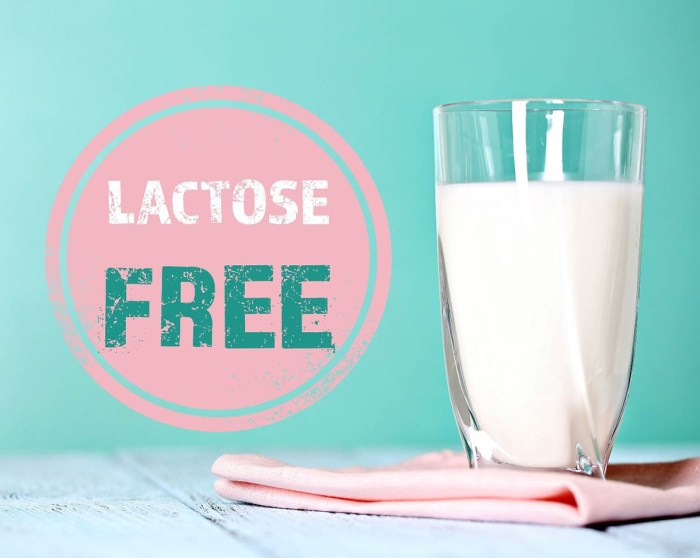 Lactose intolerance guide diet pdf dairy intolerant survival substitutes ll get