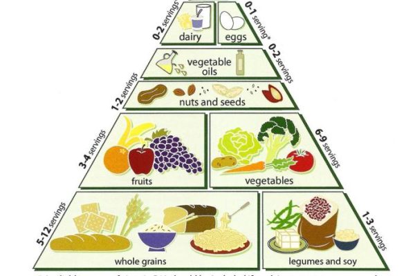 Kind vegetarisch ernähren worauf achten