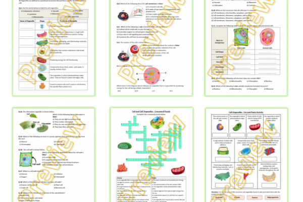 Animal cell coloring answers