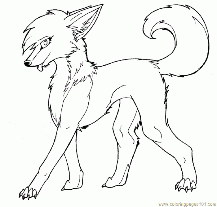 Fox wolf anime coloring pages