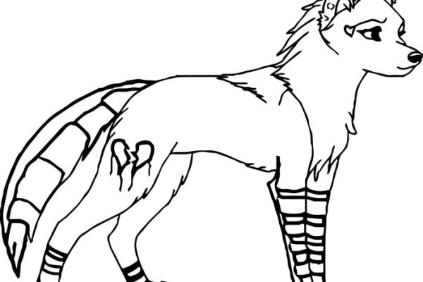 Fox wolf anime coloring pages