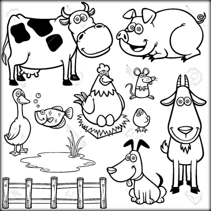 Animal coloring book pdf free download