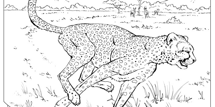 Realistic coloring pages animals