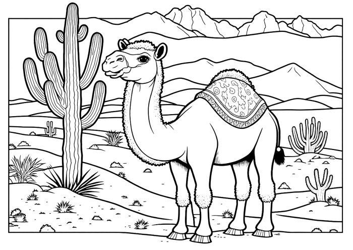 Desert animal coloring sheets