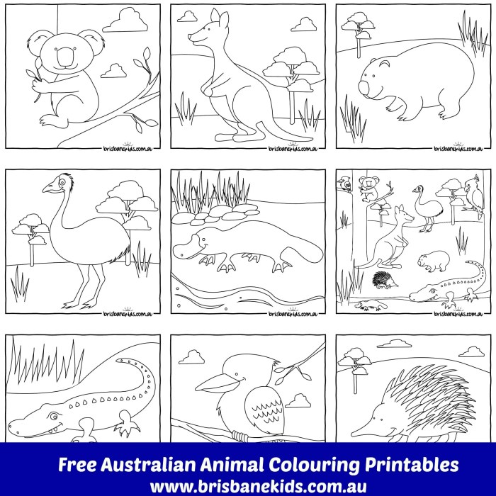 Coloring pages of australian animals