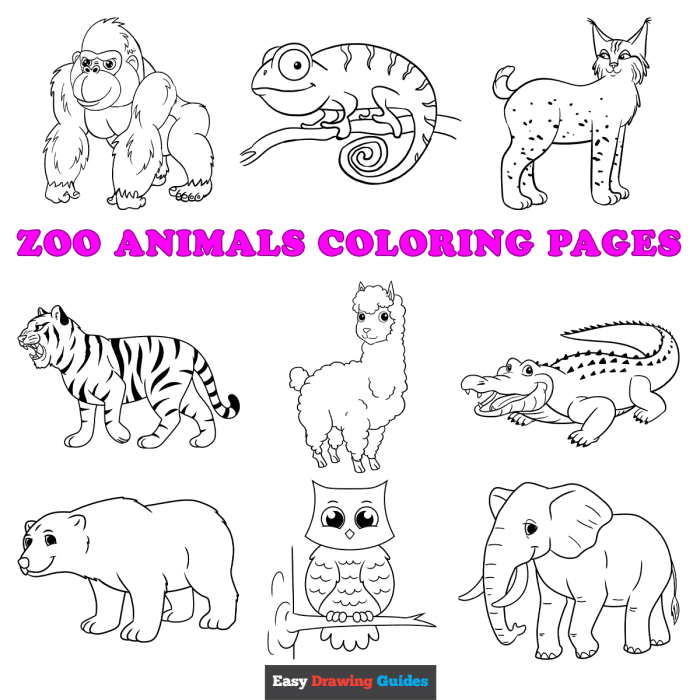 Free printable coloring pages zoo animals