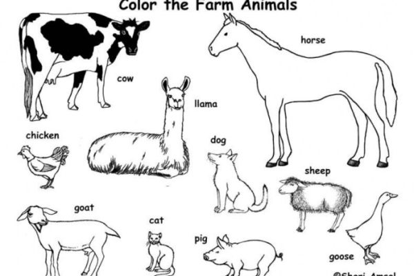 Farm animal coloring sheet