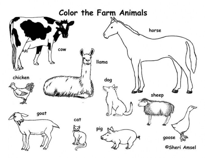 Farm animal coloring sheet