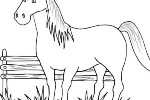 Coloring pages of farm animals free