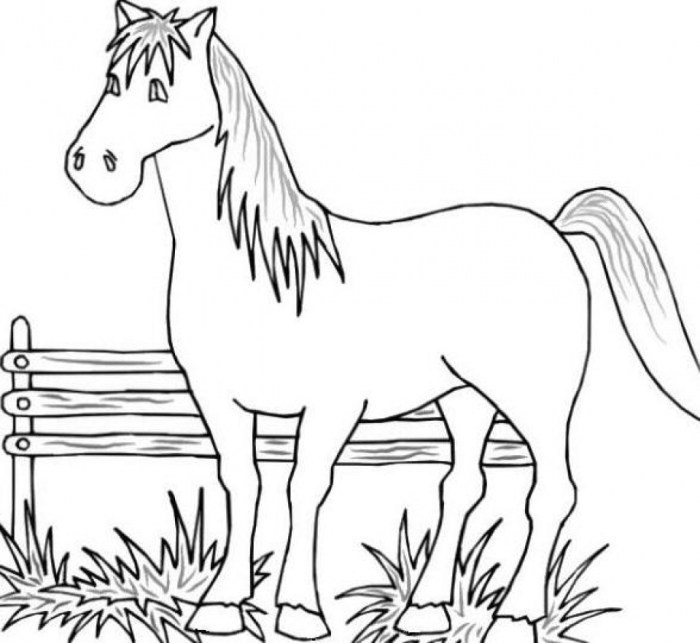 Coloring pages of farm animals free