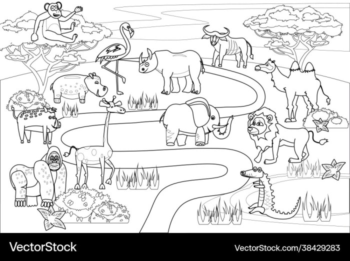 Safari animals coloring pages