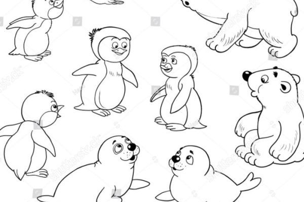 Arctic animal coloring sheet