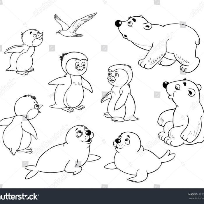 Arctic animal coloring sheet