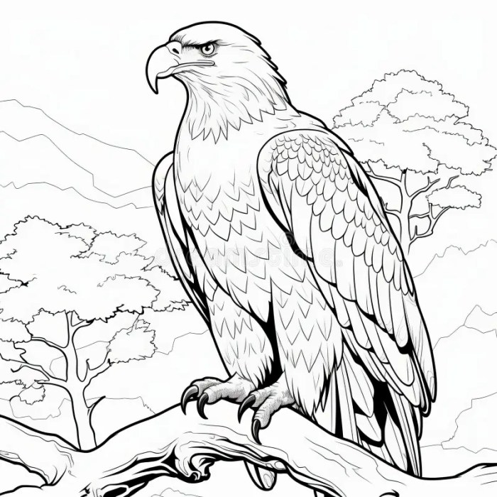 Realistic animals coloring pages