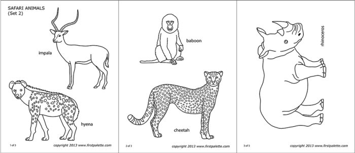 Safari animals coloring pages