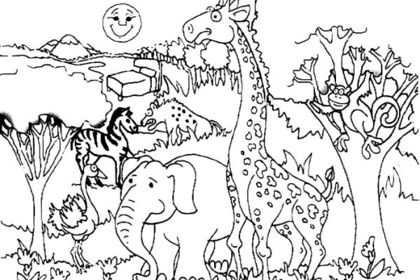 Coloring pages of forest animals