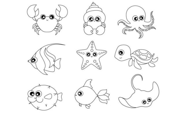 Coloring pages of sea animals