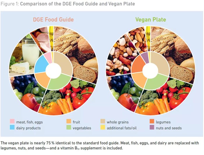 Studien zu veganer ernährung