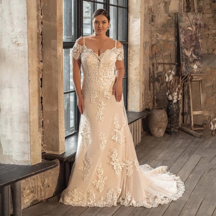 Plus size lace wedding dresses